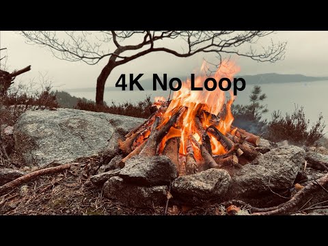 2 Hours Real Campfire in 4K: Cozy Rain & Fire Sounds (No Loop, 2025)
