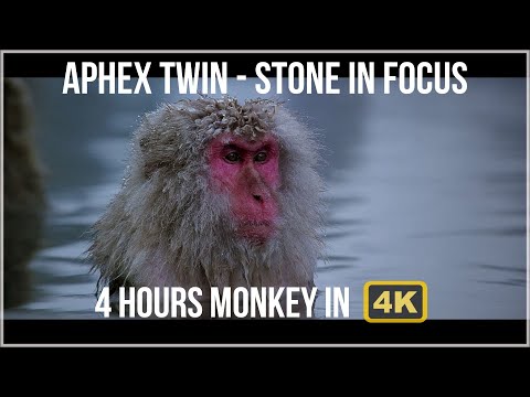 Aphex Twin – Stone in Focus 4K Monkey Perfect Loop 4 Hours