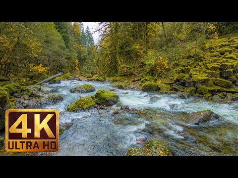 5 Hours of Golden Autumn River – 4K Ultra HD Nature & Water Sounds