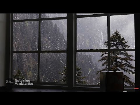 Heavy Rain on Window with Thunder for Sleep & Relaxation