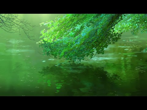 Soft Rain for Sleep: Dark 4K Animated Screensaver for Bedtime