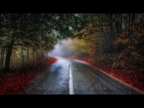 4K Heavy Rain Sounds for Sleep, Study, and Stress Relief