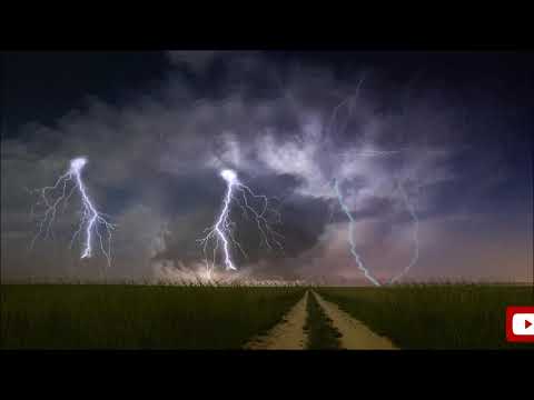 Steady Rain Ambience For Focus | Study Loop & Work