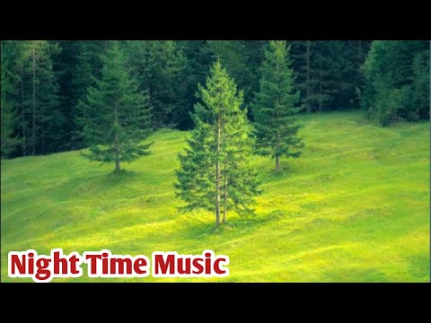 Vibrant Forest Symphony: Crickets, Owls & Rain in Colorful Flow