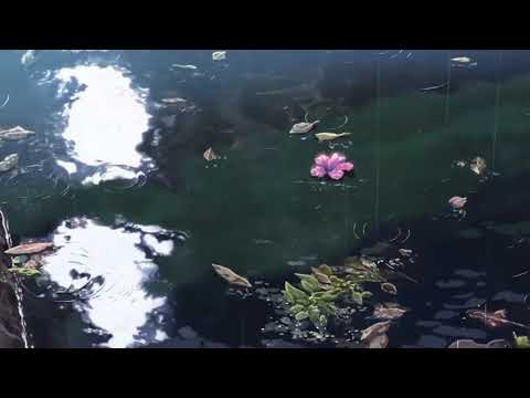 Dark Rain Animation for Sleep | Slow Motion Lofi Bedtime Sounds