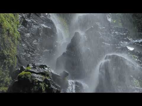 Rain Ambience for Sleep & Focus | 4K Background Video
