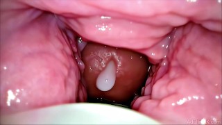 Ultimate POV: Camera Inside Vagina – Massive Creampies Right on the Cervix!