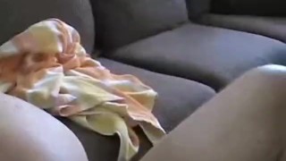Wild Amateur Melanie: The Ultimate Cumslut Experience You Can’t Miss