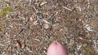 My Friend Masturbatesin the Woods – Risky Public Play Caught on Camera