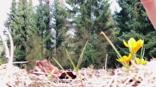 Outdoor Peeing in the Forest – Natural Exhibitionism with Birds Singing